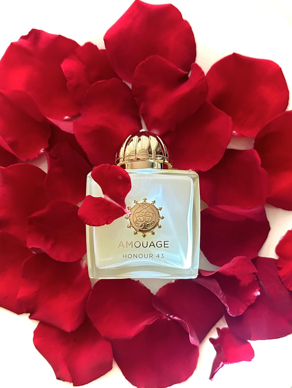 عطر أمواج هونر 43 وومان إكستري - مراجعة Best Perfume Fragrance وسعره
